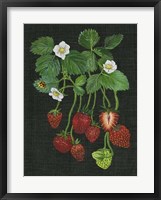 Strawberry Fields II Fine Art Print