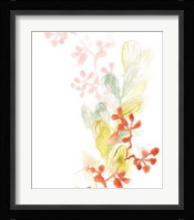 Sea Branch II Framed Print