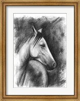 Charcoal Equestrian Portrait I Fine Art Print