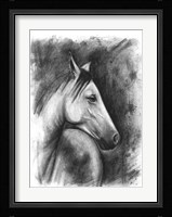 Charcoal Equestrian Portrait I Framed Print