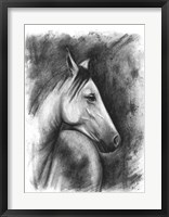 Charcoal Equestrian Portrait I Fine Art Print