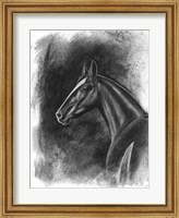 Charcoal Equestrian Portrait II Fine Art Print