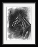 Charcoal Equestrian Portrait II Framed Print