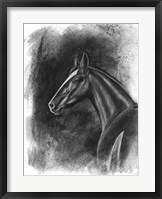 Charcoal Equestrian Portrait II Fine Art Print