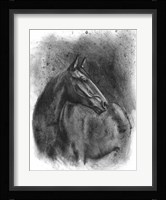 Charcoal Equestrian Portrait III Framed Print
