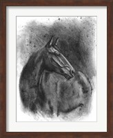 Charcoal Equestrian Portrait III Fine Art Print