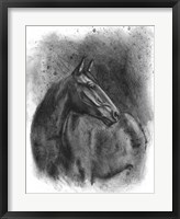 Charcoal Equestrian Portrait III Fine Art Print