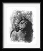 Charcoal Equestrian Portrait IV Framed Print
