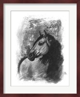 Charcoal Equestrian Portrait IV Fine Art Print