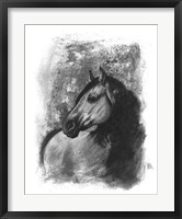 Charcoal Equestrian Portrait IV Fine Art Print