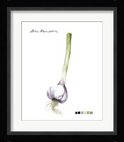 Root Vegetable I Framed Print