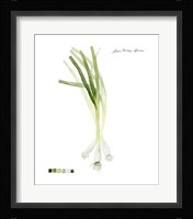 Root Vegetable V Framed Print