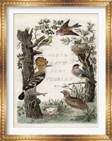Woodpecker Sanctuary Fine Art Print