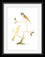 Gold Foil Birds II Fine Art Print