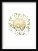 Gold Foil Ocean Gems II Fine Art Print