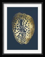 Gold Foil Shell II on Cobalt Fine Art Print