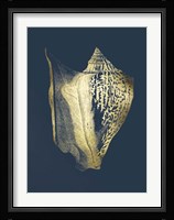 Gold Foil Shell III on Cobalt Fine Art Print