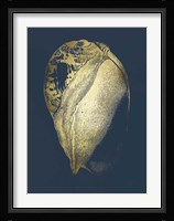 Gold Foil Shell IV on Cobalt Fine Art Print