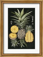 Graphic Pineapple Botanical Study I Fine Art Print