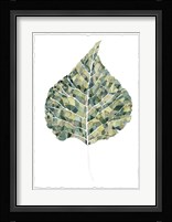 Verdant Details I Framed Print