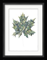 Verdant Details II Fine Art Print