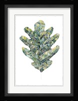 Verdant Details III Framed Print
