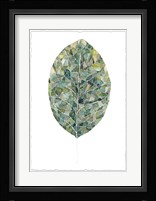 Verdant Details IV Framed Print