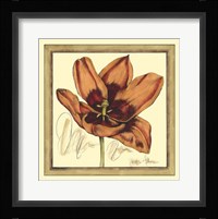 Tulip Study I Framed Print