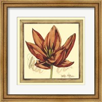 Tulip Study II Fine Art Print