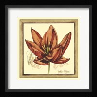 Tulip Study II Framed Print
