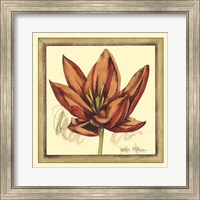 Tulip Study II Fine Art Print