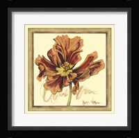 Tulip Study III Framed Print
