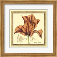Tulip Study IV Fine Art Print