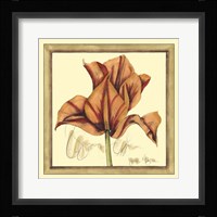 Tulip Study IV Framed Print