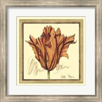 Tulip Study VII Fine Art Print