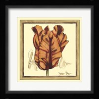 Tulip Study VIII Framed Print