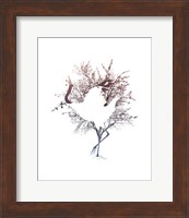Red Crowned Crane Pair, Part I Fine Art Print