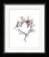 Red Crowned Crane Pair, Part I Fine Art Print