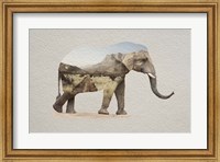 African Elephant Erongo Namibia Fine Art Print