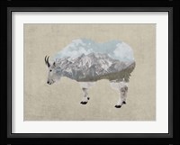Rocky Mountain Goat Fine Art Print