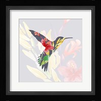 Grey Floral Hummingbird Fine Art Print