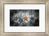 Pop of Color Orange Starfish Fine Art Print