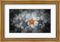 Pop of Color Orange Starfish Fine Art Print