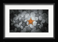 Pop of Color Orange Starfish Fine Art Print