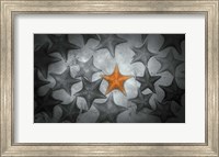 Pop of Color Orange Starfish Fine Art Print