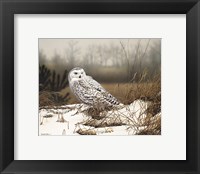 Snowy Mist Fine Art Print