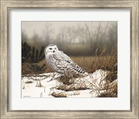 Snowy Mist Fine Art Print