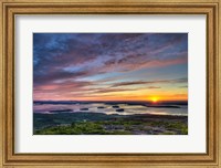 Acadia Sunrise Fine Art Print