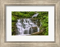 Conestoga Falls Fine Art Print