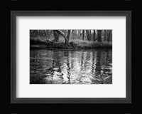 Bank Study #1 Fine Art Print